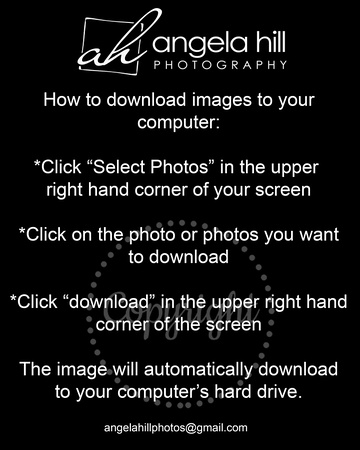 download instructions