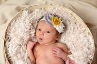 Hulsey Newborn