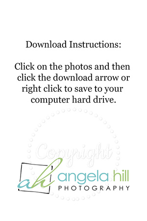 Download Instructions
