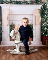 Ryder Christmas Mini