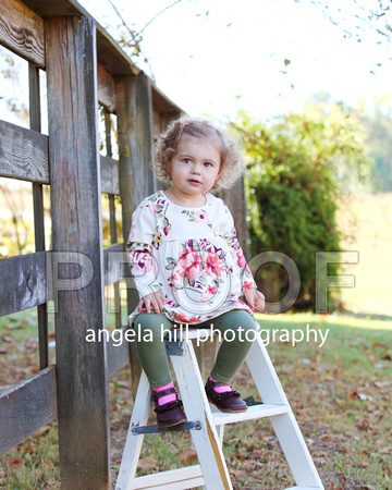IMG_5258 copy