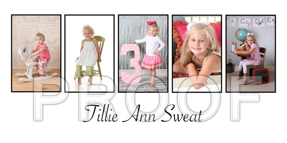 tillie10x20collage2